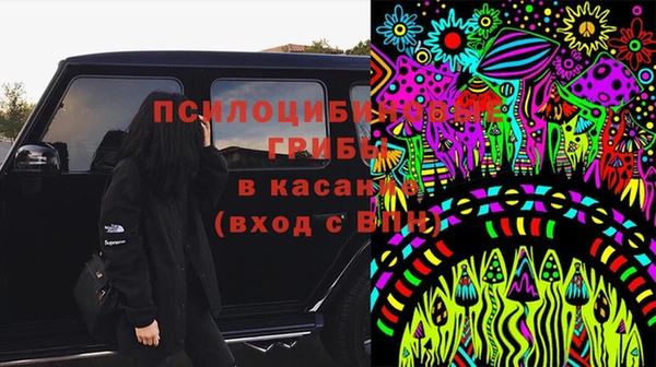 ПСИЛОЦИБИНОВЫЕ ГРИБЫ Покров