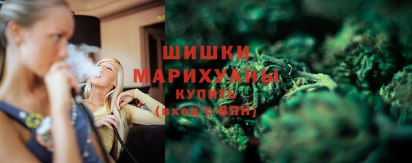 ПСИЛОЦИБИНОВЫЕ ГРИБЫ Покров