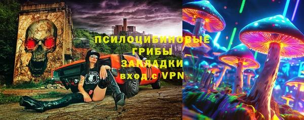ПСИЛОЦИБИНОВЫЕ ГРИБЫ Покров
